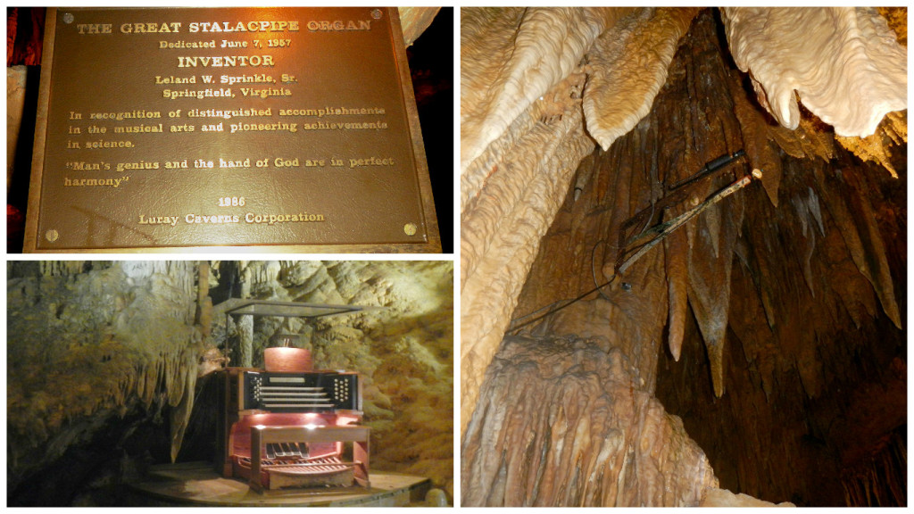 Worlds only Stalacpipe Organ. Rubber mallet on the right strikes the stalactite to hit a note