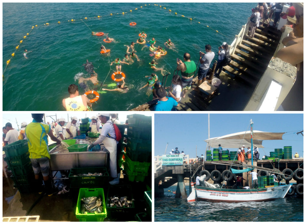 pier-fishing