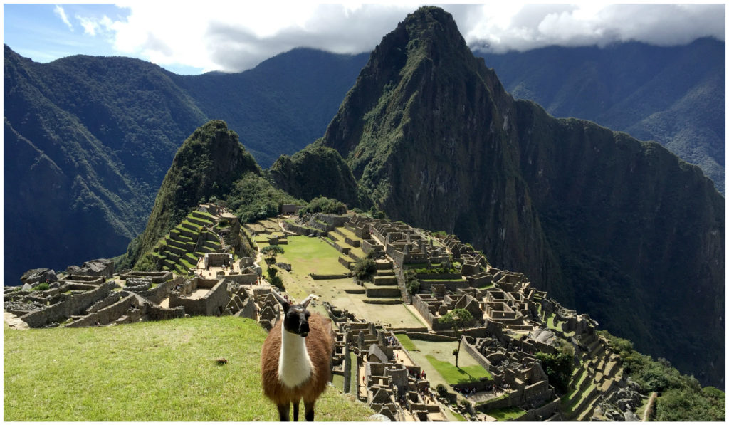 My favorite pic from Machu Picchu