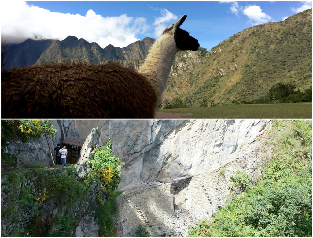 Top: The llama's mouth is pointing to the sun gate (V-shape in the mountain). This is where Inca trail hikers enter Machu Picchu. You can see the pathway down. Bottom: The underwhelming Inca bridge. 