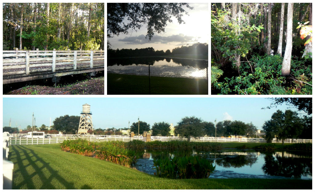 There are board walks built into some streets to prevent you from having to muck through swamps. Bottom: Celebration water tower (by a market/shopping center).