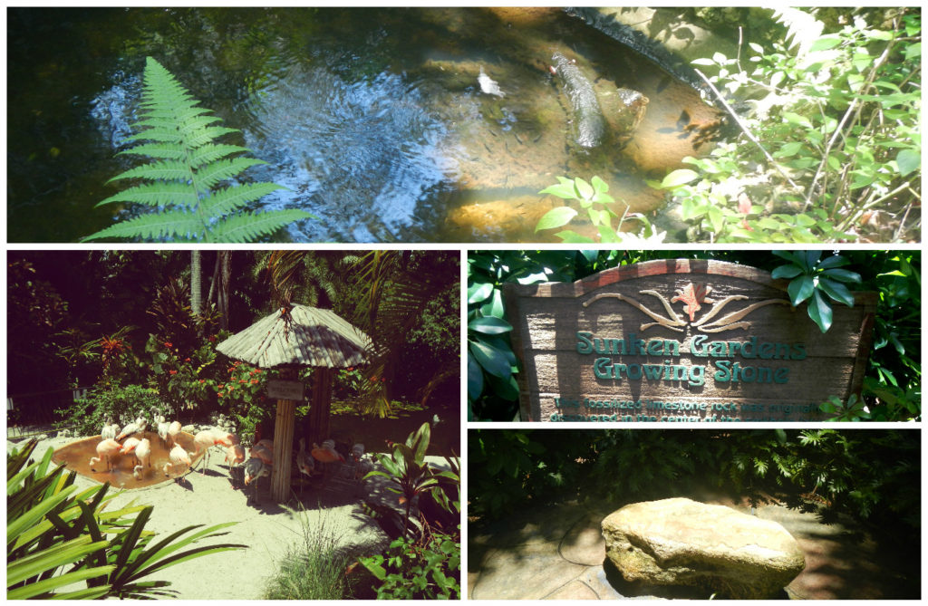 Can you see the snapping turtle in the top pic? It has moss growing all over its shell/head! Bottom Left: Flamingoes. Bottom Right: "Growing Stone" said to help you with growth if you sit on it.