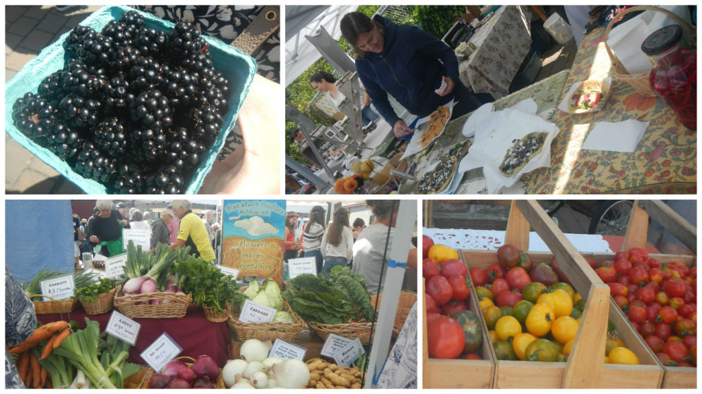 We caught the Saturday farmer's market too. Fresh blackberries!