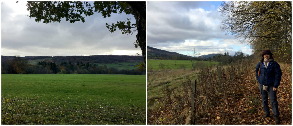 Left: the gorgeous view. Right. You can see the leafy pathway with an awning of trees on the right of me. 